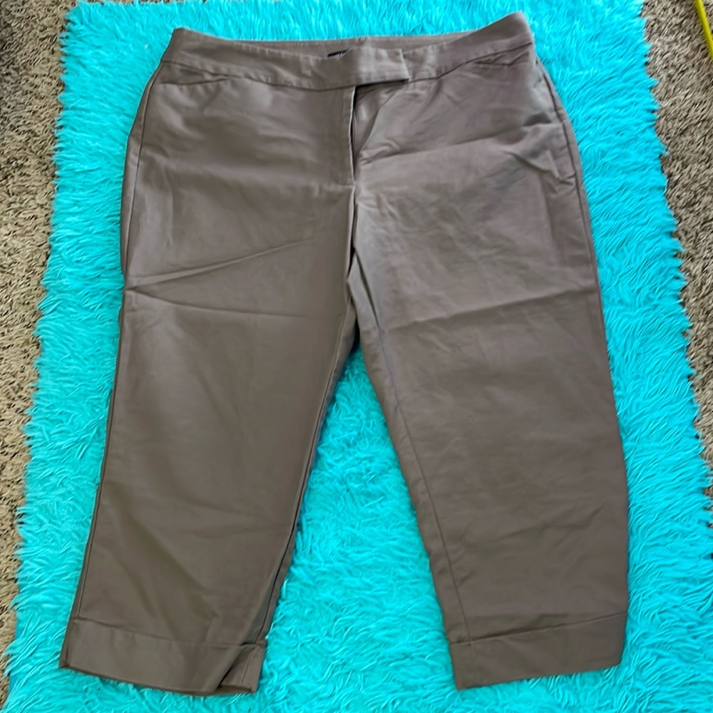 Ann Taylor Curvy Capris
